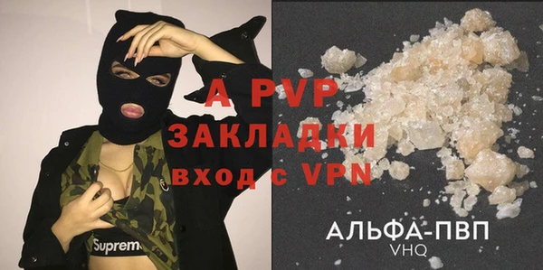 apvp Алзамай